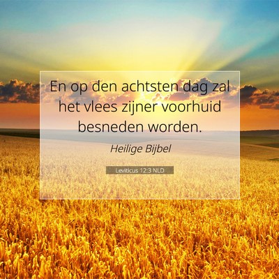 Picture 07 - Leviticus 12:3 NLD - En op den achtsten dag zal het vlees zijner - Bible Verse Picture