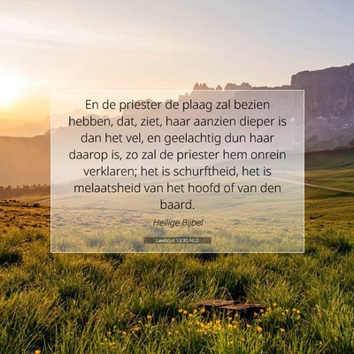 Picture 07 - Leviticus 13:30 NLD - En de priester de plaag zal bezien hebben, dat, - Bible Verse Picture