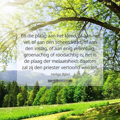 Picture 07 - Leviticus 13:49 NLD - En die plaag aan het kleed, of aan het vel, of - Bible Verse Picture