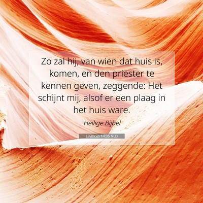 Picture 07 - Leviticus 14:35 NLD - Zo zal hij, van wien dat huis is, komen, en den - Bible Verse Picture