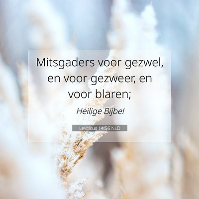 Picture 07 - Leviticus 14:56 NLD - Mitsgaders voor gezwel, en voor gezweer, en voor - Bible Verse Picture