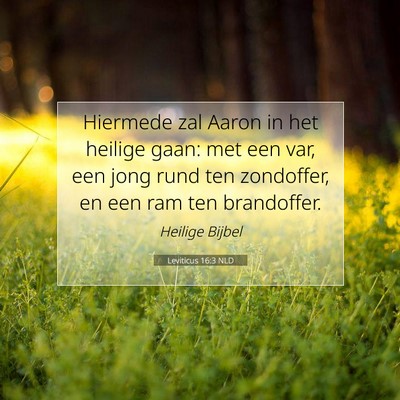 Picture 07 - Leviticus 16:3 NLD - Hiermede zal Aaron in het heilige gaan: met een - Bible Verse Picture
