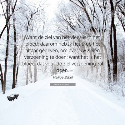 Picture 07 - Leviticus 17:11 NLD - Want de ziel van het vlees is in het bloed; - Bible Verse Picture