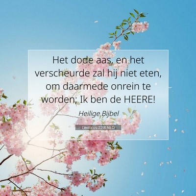 Picture 07 - Leviticus 22:8 NLD - Het dode aas, en het verscheurde zal hij niet - Bible Verse Picture