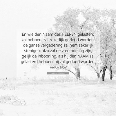 Picture 07 - Leviticus 24:16 NLD - En wie den Naam des HEEREN gelasterd zal hebben, - Bible Verse Picture