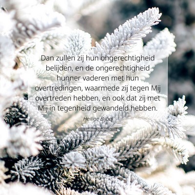 Picture 07 - Leviticus 26:40 NLD - Dan zullen zij hun ongerechtigheid belijden, en - Bible Verse Picture