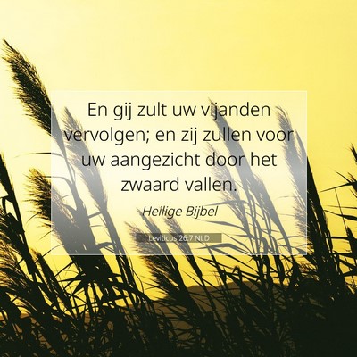 Picture 07 - Leviticus 26:7 NLD - En gij zult uw vijanden vervolgen; en zij zullen - Bible Verse Picture