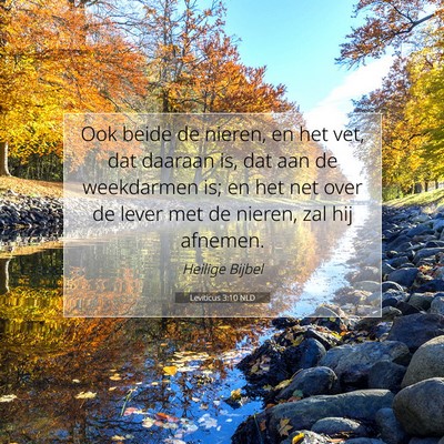 Picture 07 - Leviticus 3:10 NLD - Ook beide de nieren, en het vet, dat daaraan is, - Bible Verse Picture