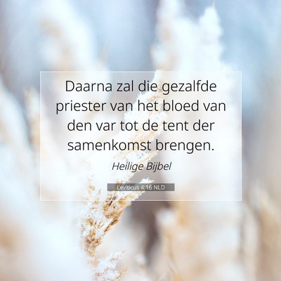 Picture 07 - Leviticus 4:16 NLD - Daarna zal die gezalfde priester van het bloed - Bible Verse Picture