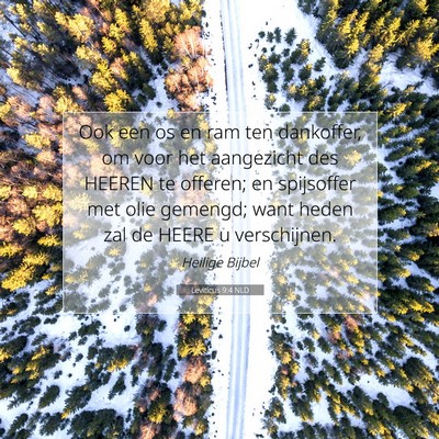 Picture 07 - Leviticus 9:4 NLD - Ook een os en ram ten dankoffer, om voor het - Bible Verse Picture
