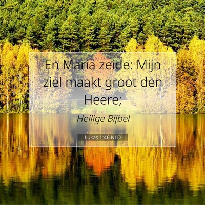 Picture 07 - Lukas 1:46 NLD - En Maria zeide: Mijn ziel maakt groot den - Bible Verse Picture