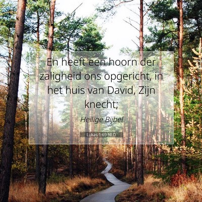 Picture 07 - Lukas 1:69 NLD - En heeft een hoorn der zaligheid ons opgericht, - Bible Verse Picture