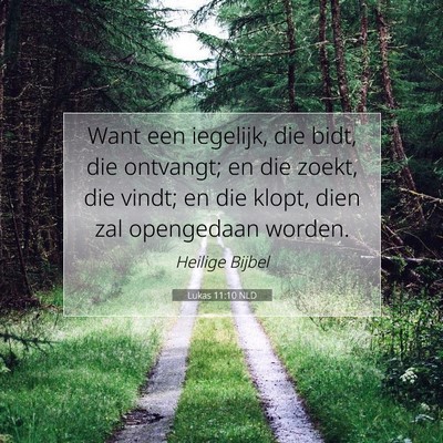Picture 07 - Lukas 11:10 NLD - Want een iegelijk, die bidt, die ontvangt; en die - Bible Verse Picture