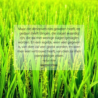 Picture 07 - Lukas 12:48 NLD - Maar die denzelven niet geweten heeft, en gedaan - Bible Verse Picture