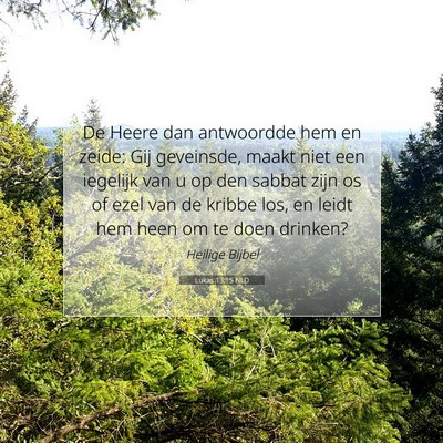 Picture 07 - Lukas 13:15 NLD - De Heere dan antwoordde hem en zeide: Gij - Bible Verse Picture