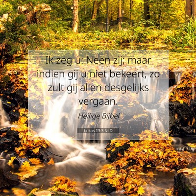 Picture 07 - Lukas 13:3 NLD - Ik zeg u: Neen zij; maar indien gij u niet - Bible Verse Picture