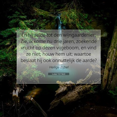 Picture 07 - Lukas 13:7 NLD - En hij zeide tot den wijngaardenier: Zie, ik kome - Bible Verse Picture