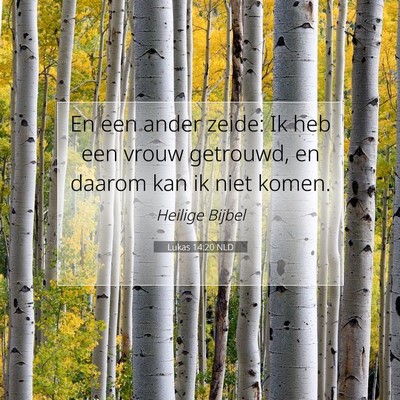 Picture 07 - Lukas 14:20 NLD - En een ander zeide: Ik heb een vrouw getrouwd, en - Bible Verse Picture
