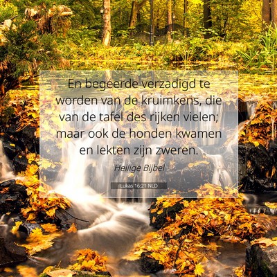 Picture 07 - Lukas 16:21 NLD - En begeerde verzadigd te worden van de kruimkens, - Bible Verse Picture