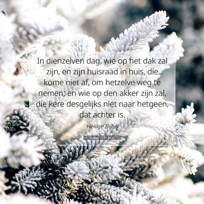 Picture 07 - Lukas 17:31 NLD - In dienzelven dag, wie op het dak zal zijn, en - Bible Verse Picture