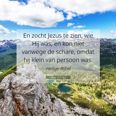 Picture 07 - Lukas 19:3 NLD - En zocht Jezus te zien, wie Hij was; en kon niet - Bible Verse Picture