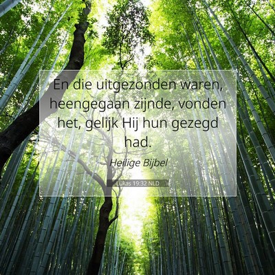 Picture 07 - Lukas 19:32 NLD - En die uitgezonden waren, heengegaan zijnde, - Bible Verse Picture