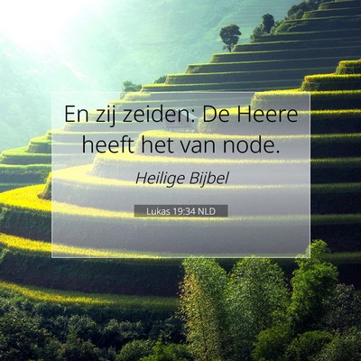 Picture 07 - Lukas 19:34 NLD - En zij zeiden: De Heere heeft het van - Bible Verse Picture