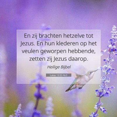 Picture 07 - Lukas 19:35 NLD - En zij brachten hetzelve tot Jezus. En hun - Bible Verse Picture