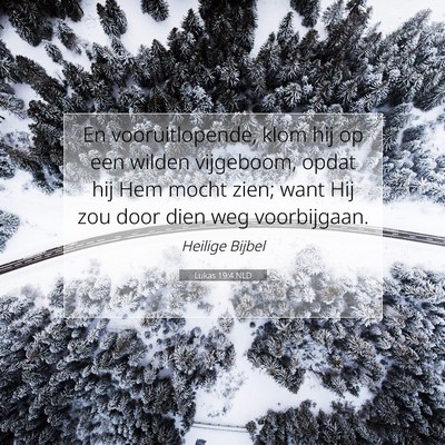 Picture 07 - Lukas 19:4 NLD - En vooruitlopende, klom hij op een wilden - Bible Verse Picture