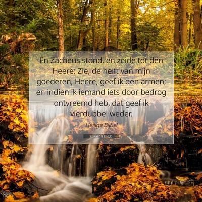 Picture 07 - Lukas 19:8 NLD - En Zacheus stond, en zeide tot den Heere: Zie, de - Bible Verse Picture