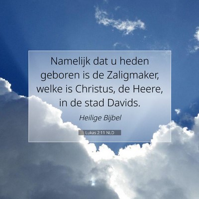 Picture 07 - Lukas 2:11 NLD - Namelijk dat u heden geboren is de Zaligmaker, - Bible Verse Picture