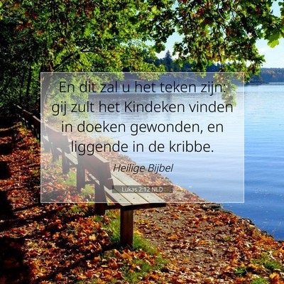Picture 07 - Lukas 2:12 NLD - En dit zal u het teken zijn: gij zult het - Bible Verse Picture