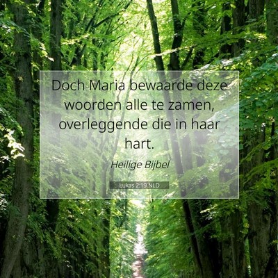 Picture 07 - Lukas 2:19 NLD - Doch Maria bewaarde deze woorden alle te zamen, - Bible Verse Picture