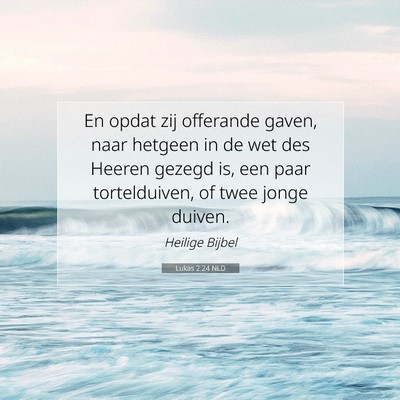 Picture 07 - Lukas 2:24 NLD - En opdat zij offerande gaven, naar hetgeen in de - Bible Verse Picture