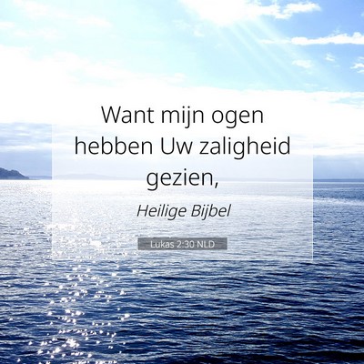 Picture 07 - Lukas 2:30 NLD - Want mijn ogen hebben Uw zaligheid - Bible Verse Picture