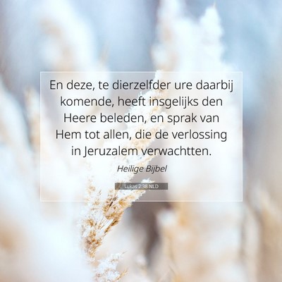 Picture 07 - Lukas 2:38 NLD - En deze, te dierzelfder ure daarbij komende, - Bible Verse Picture