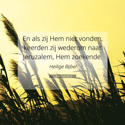 Picture 07 - Lukas 2:45 NLD - En als zij Hem niet vonden, keerden zij wederom - Bible Verse Picture