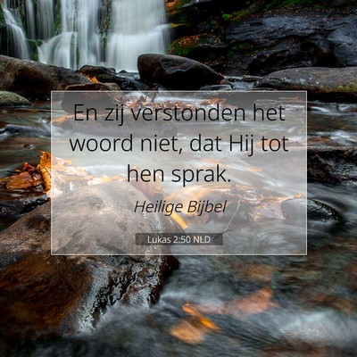 Picture 07 - Lukas 2:50 NLD - En zij verstonden het woord niet, dat Hij tot hen - Bible Verse Picture