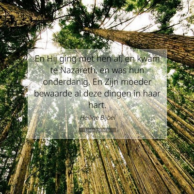 Picture 07 - Lukas 2:51 NLD - En Hij ging met hen af, en kwam te Nazareth, en - Bible Verse Picture