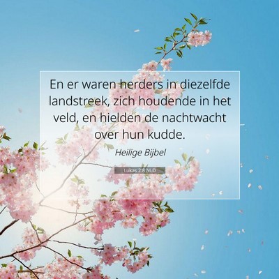 Picture 07 - Lukas 2:8 NLD - En er waren herders in diezelfde landstreek, zich - Bible Verse Picture