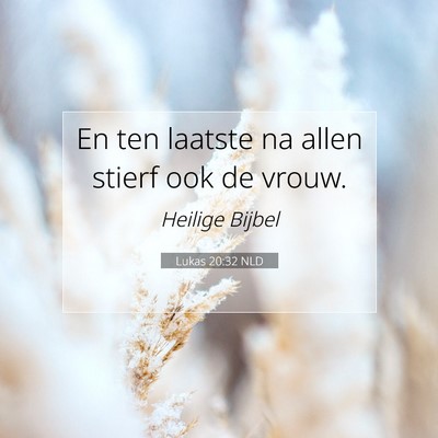 Picture 07 - Lukas 20:32 NLD - En ten laatste na allen stierf ook de - Bible Verse Picture