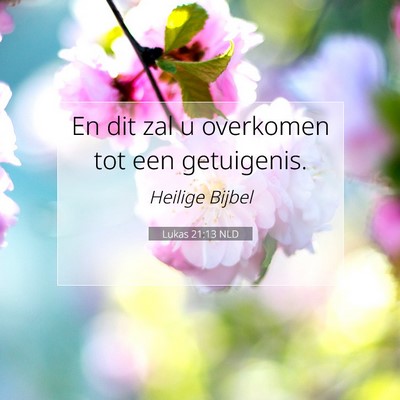 Picture 07 - Lukas 21:13 NLD - En dit zal u overkomen tot een - Bible Verse Picture