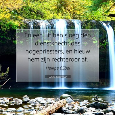 Picture 07 - Lukas 22:50 NLD - En een uit hen sloeg den dienstknecht des - Bible Verse Picture