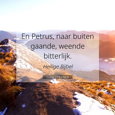 Picture 07 - Lukas 22:62 NLD - En Petrus, naar buiten gaande, weende - Bible Verse Picture