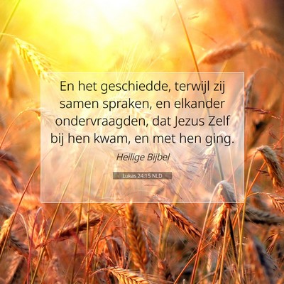 Picture 07 - Lukas 24:15 NLD - En het geschiedde, terwijl zij samen spraken, en - Bible Verse Picture