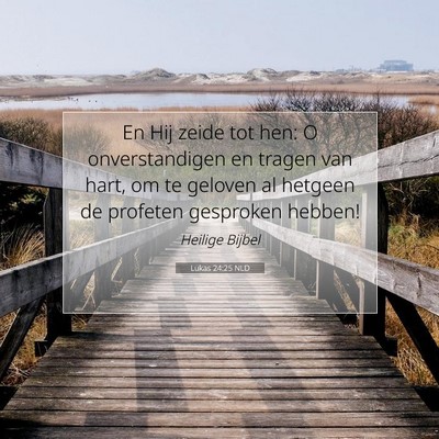 Picture 07 - Lukas 24:25 NLD - En Hij zeide tot hen: O onverstandigen en tragen - Bible Verse Picture