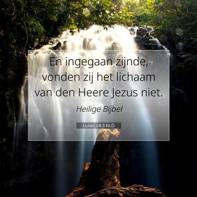 Picture 07 - Lukas 24:3 NLD - En ingegaan zijnde, vonden zij het lichaam van - Bible Verse Picture