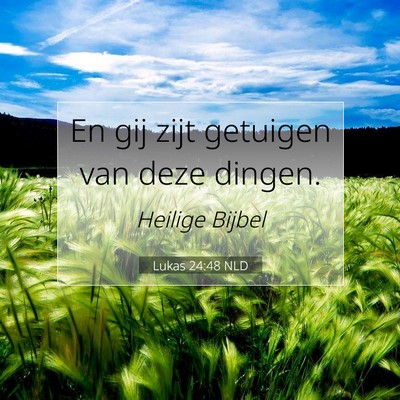 Picture 07 - Lukas 24:48 NLD - En gij zijt getuigen van deze - Bible Verse Picture
