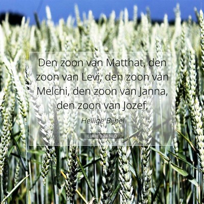 Picture 07 - Lukas 3:24 NLD - Den zoon van Matthat, den zoon van Levi, den zoon - Bible Verse Picture