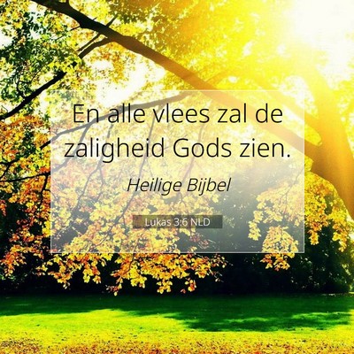 Picture 07 - Lukas 3:6 NLD - En alle vlees zal de zaligheid Gods - Bible Verse Picture